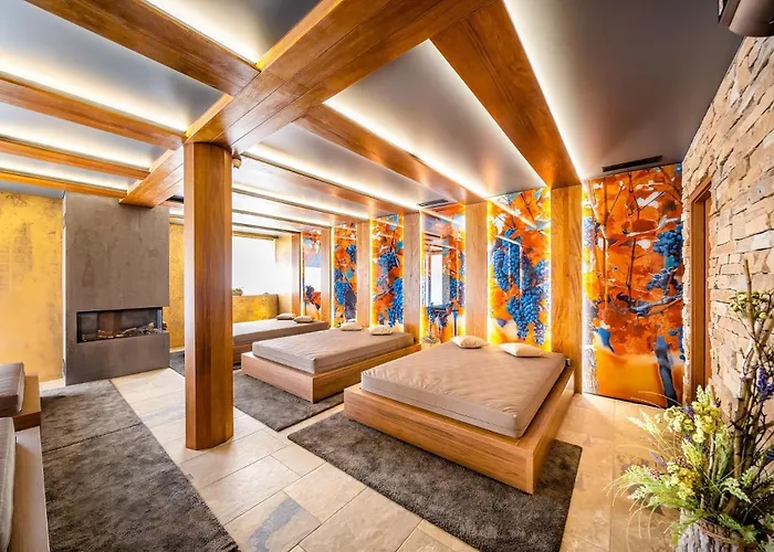 Hotel Hotel Akademie 4*